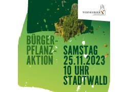 Die Stadt Wernigerode ruft zur öffentlichen Bürgerpflanzaktion am 25.11.2023 auf.